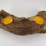 tronco-cedro-2-velas-amarelas-foto-5