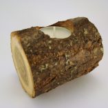 tronco-cilindrico-espinhosa-1-vela-branca-foto-1