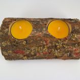 tronco-cilindrico-espinhosa-2-velas-amarelas-foto-3