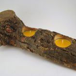 tronco-espinhosa-2-velas-amarelas-foto-2