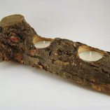tronco-espinhosa-2-velas-brancas-foto-2