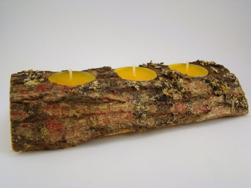 tronco-espinhosa-3-velas-amarelas-foto-1