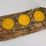 tronco-espinhosa-3-velas-amarelas-foto-3