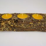 tronco-espinhosa-3-velas-amarelas-foto-4