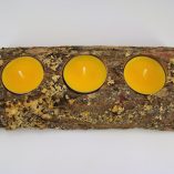 tronco-espinhosa-3-velas-amarelas-foto-5