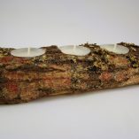 tronco-espinhosa-3-velas-brancas-foto-1