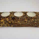 tronco-espinhosa-3-velas-brancas-foto-3