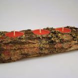 tronco-espinhosa-3-velas-vermelhas-foto-1
