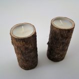 Par de Troncos Pinheiro Foto 03