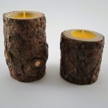 Par de Troncos Pinheiro Foto 4