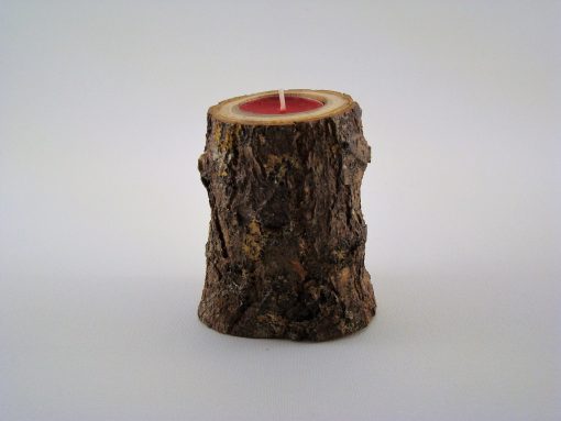 Tronco Espinhosa 1 Vela Foto 1
