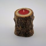 Tronco Espinhosa 1 Vela Foto 2