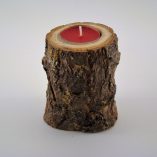 Tronco Espinhosa 1 Vela Foto 3