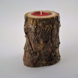 Tronco Espinhosa 1 Vela Foto 4