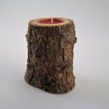 Tronco Espinhosa 1 Vela Foto 5